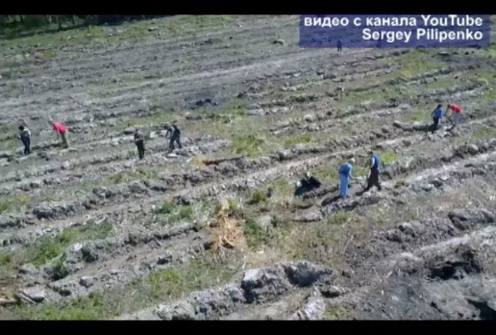 «Лес Победы» - возле деревни Голыгино