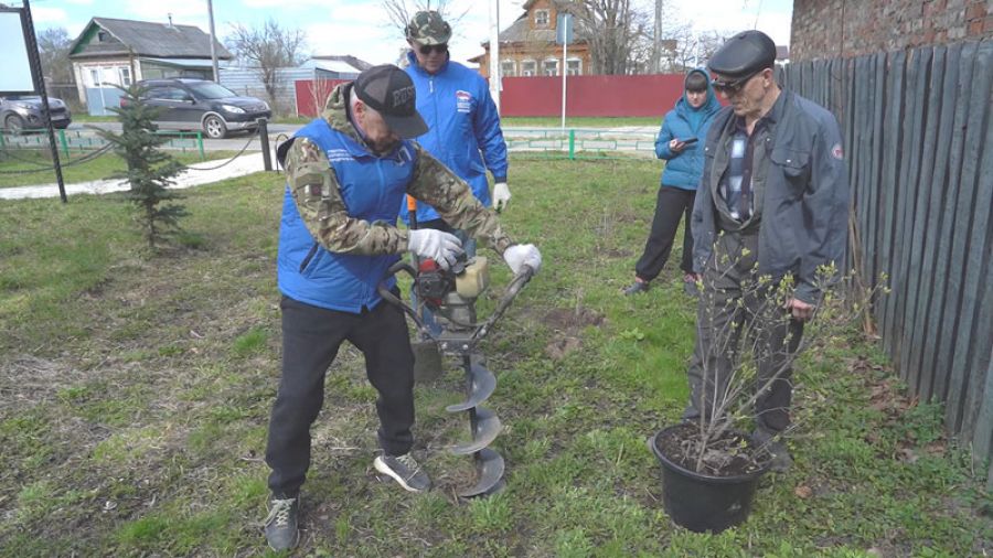 Константин Негурица инициировал посадку деревьев и кустарников в деревне Зубачево