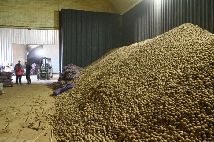 Сельское хозяйство Сергиево-Посадского округа: достижения и планы