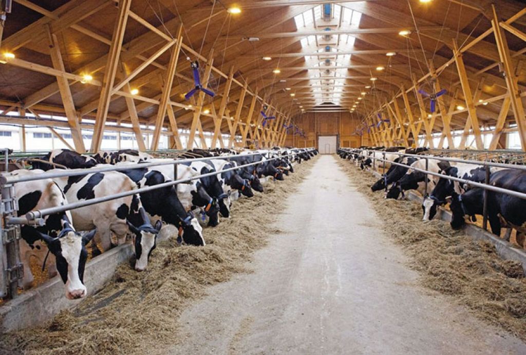 53 производителя аттестованы на экспорт молочной продукции