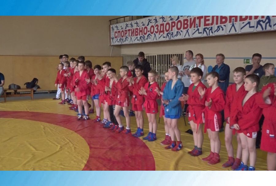 Щит Сергиев Посад самбо