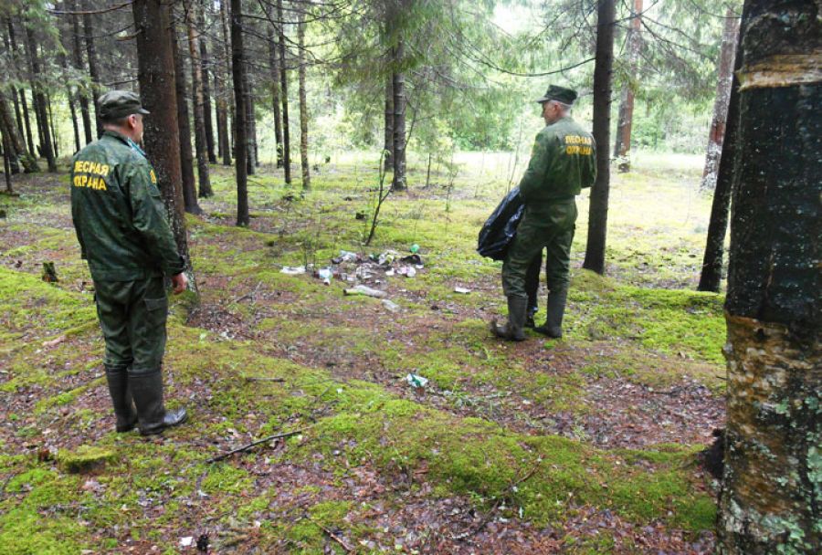 Лесные патрули вынуждены ликвидировать несанкционированные свалки