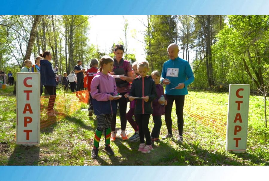 Первенство Сергиево-Посадского городского округа по спортивному ориентированию