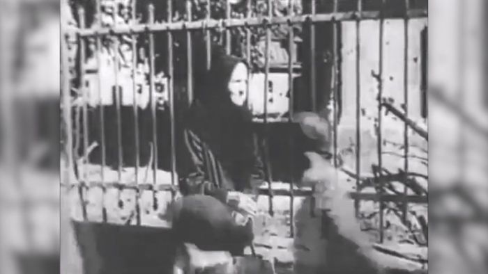 &laquo;День города&raquo; за 27 января 2025 г.