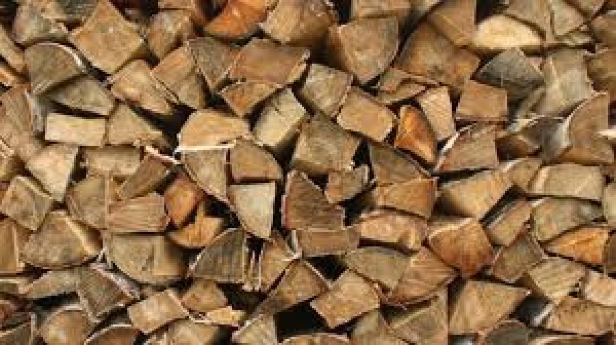 Сергиевопосадцы не стали заготавливать дрова