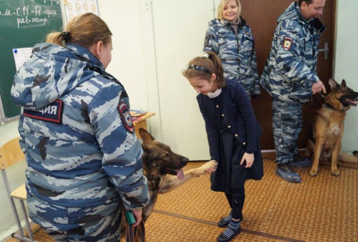 Сотрудники полиции по Сергиево-Посадскому району провели акцию «Полицейский четвероногий друг»