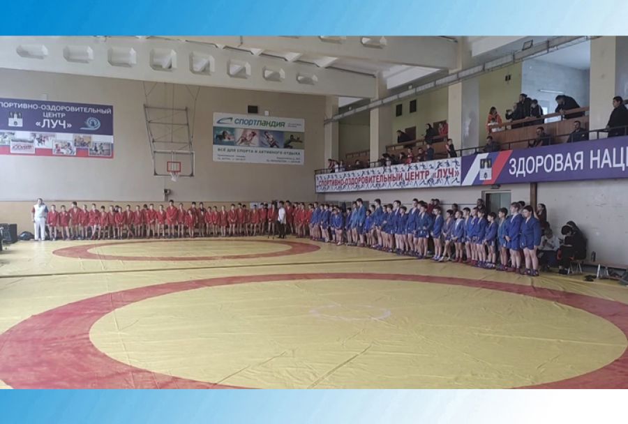 Золотая осень для самбистов