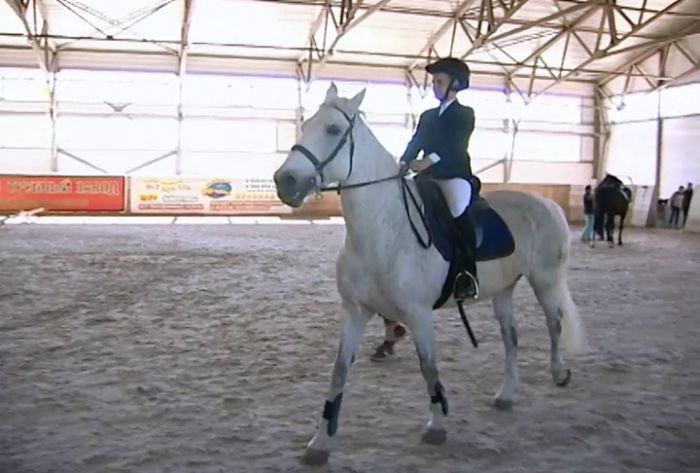 Волшебная подкова - 2018