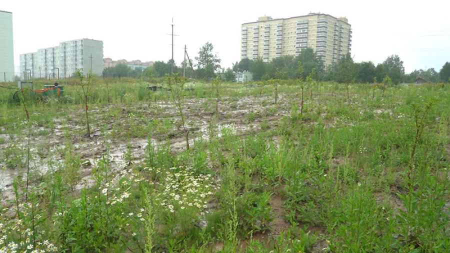 &laquo;Сад памяти&raquo; в Зубачёво приведут в порядок?