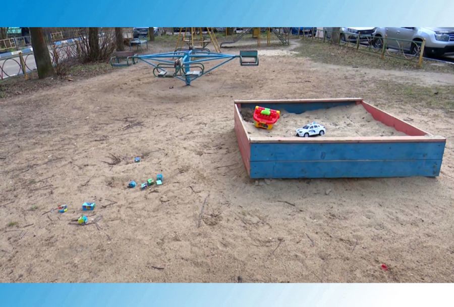 Какие работы планируется проводить во дворах домов по Птицеградской улице?