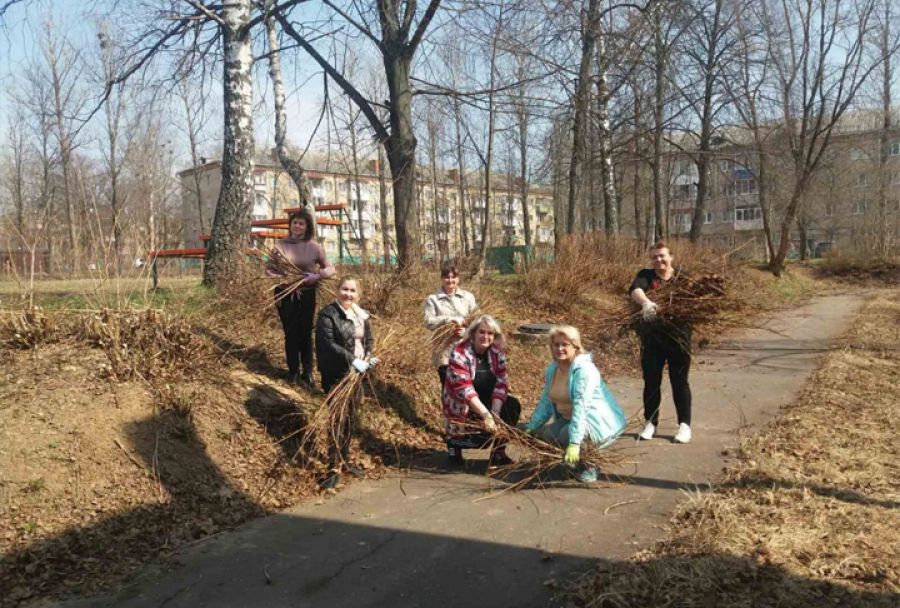 Краснозаводские школьники задумались над проблемой лесовосстановления