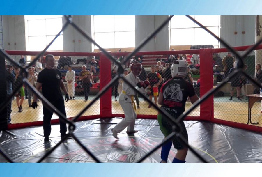 Соревнования по боевому искусству «комбат» прошли в СК «Салют»