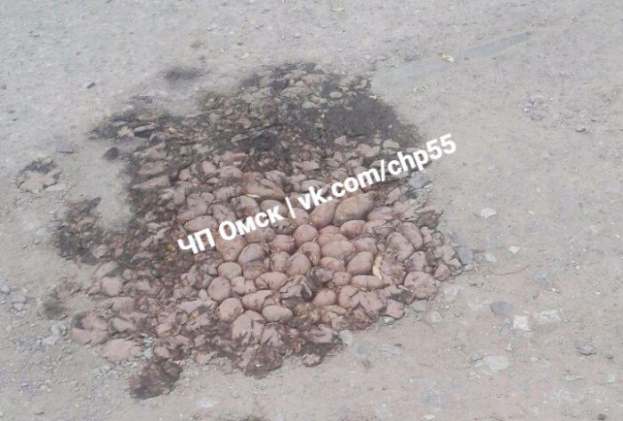 В Омске яму на дороге засыпали картошкой