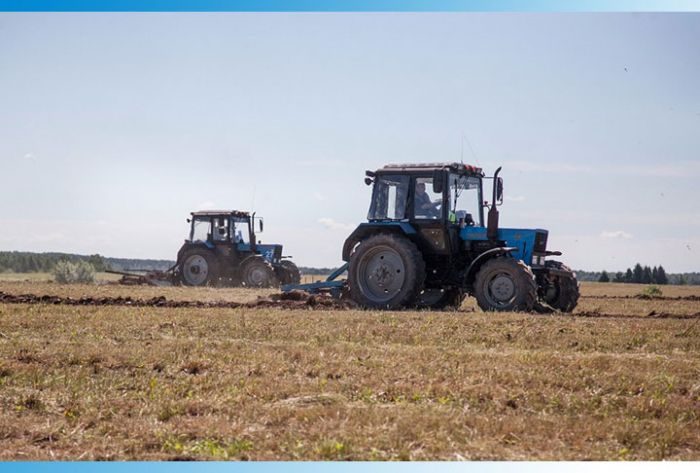 Более 200 тыс тонн зерна собрали в текущем году