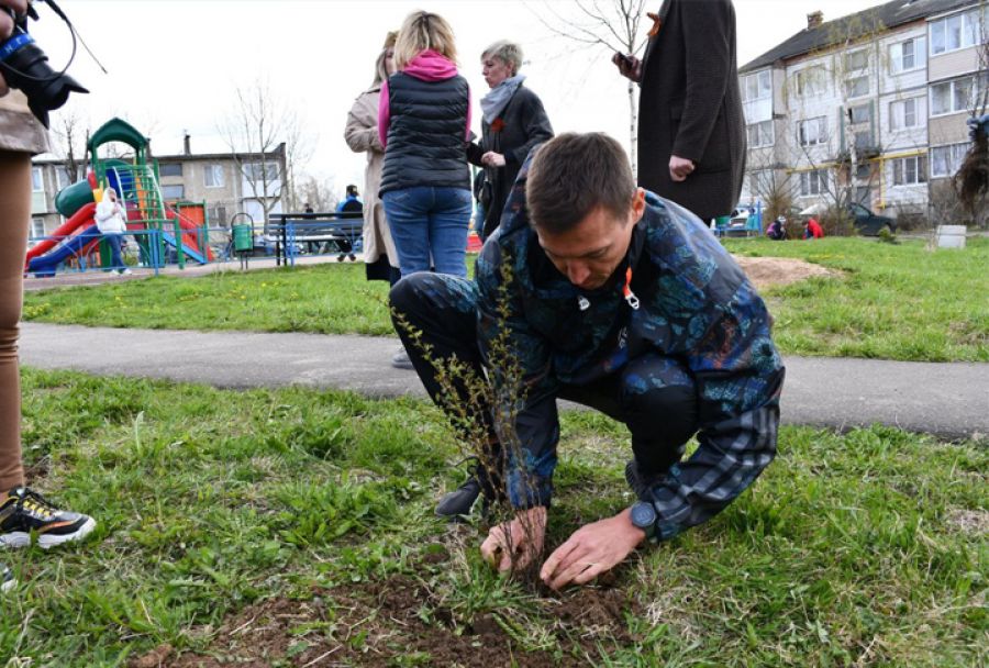 В Мишутино посадили &quot;Лес Победы&quot; вместе с депутатом Александром Легковым