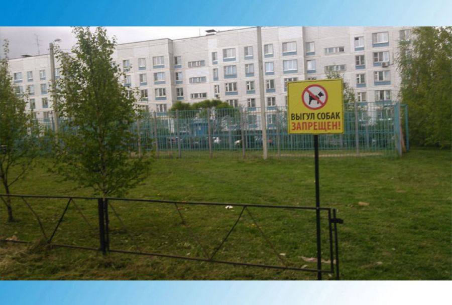 Выгул собак на детских площадках запрещен: обращение жителей улицы Владимирская