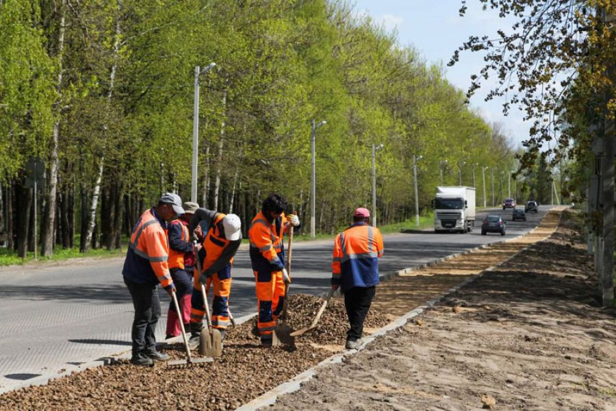 Пешеходные &laquo;народные тропы&raquo; асфальтируют