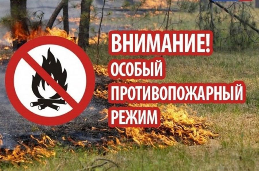 На территории Сергиево-Посадского округа установлен особый противопожарный режим с 28 мая по 3 июня
