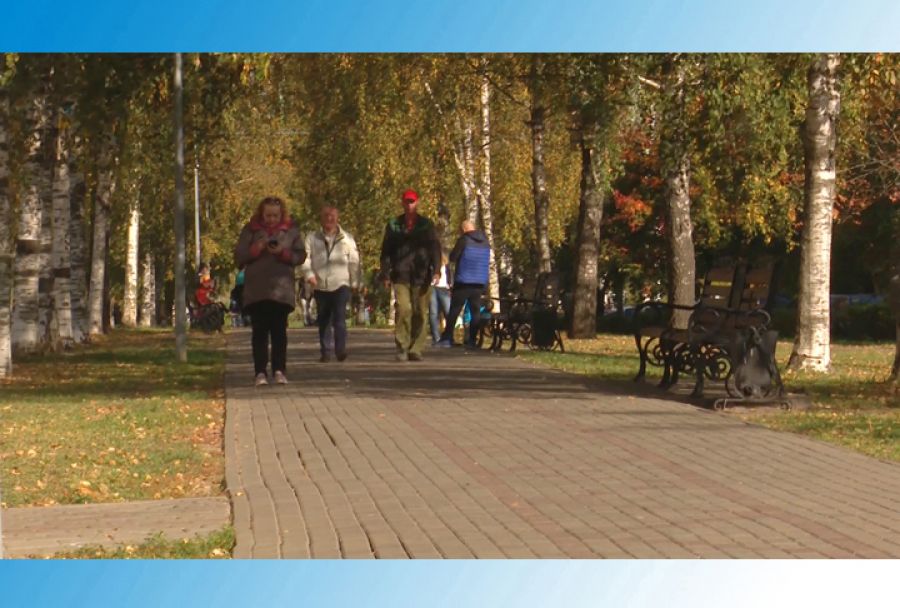 Бульвар Кузнецова готовят к реконструкции