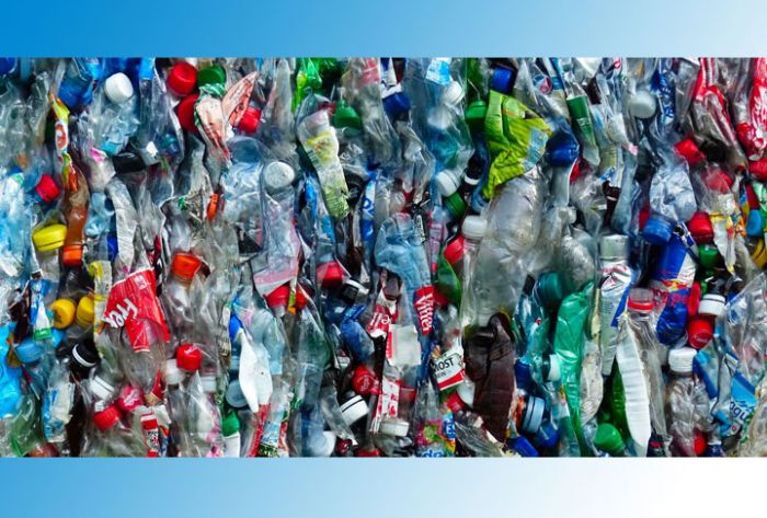 Минприроды готовится к запрету одноразовой пластиковой посуды