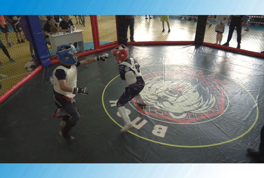 Фестиваль Единоборств прошёл в Сергиевом Посаде