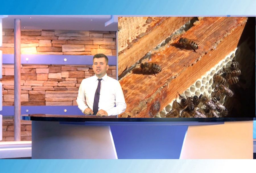 14 августа &ndash; начало Успенского поста и Медовый Спас