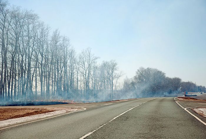 Пал травы в весенний период чрезвычайно опасен!