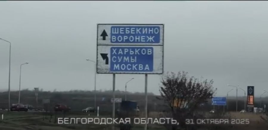 Стражники приграничья