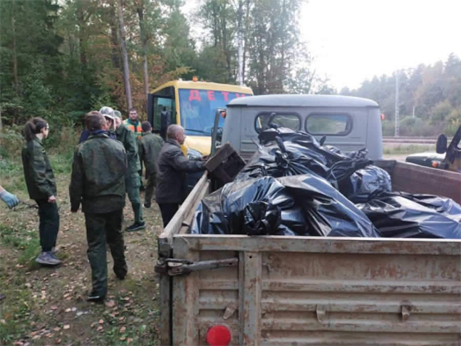 Школьники лесничества &quot;Лесная братва&quot; расчистили от мусора полгектара