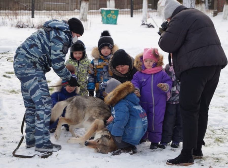 Сотрудники полиции провели акцию «Полицейский Дед Мороз»