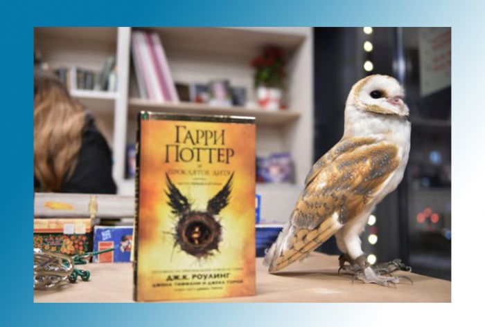В подмосковных библиотеках пройдет &laquo;Всемирная ночь Гарри Поттера&raquo;