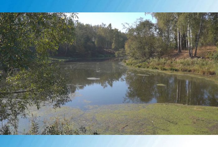 О вкусах не спорят, а вот о запахах...