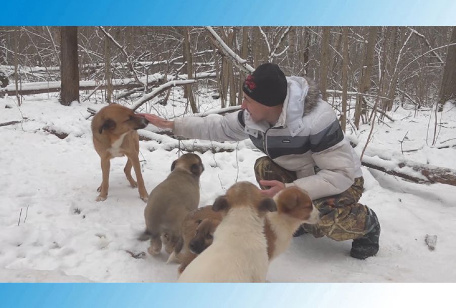 Человек собаке друг