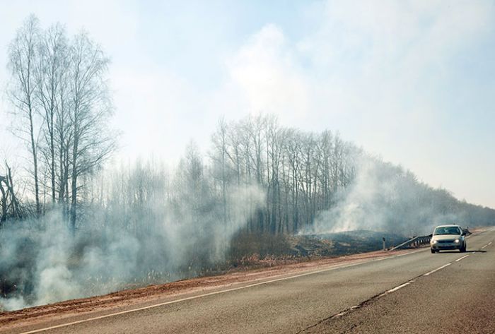 Сотни возгораний сухой травы ежесуточно регистрируют в регионах Центральной России