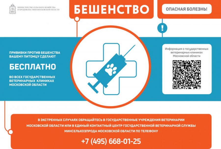 Профилактика бешенства