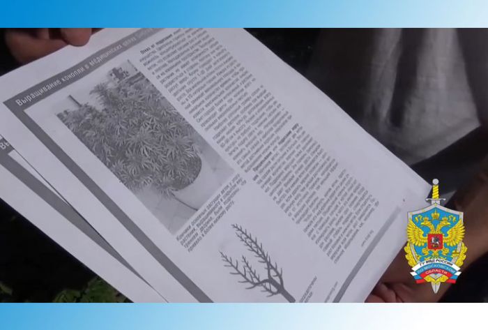 УМВД информирует. 14 июня 2019 г.