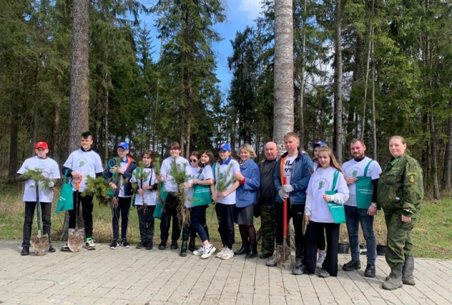 Ученики Хотьковской школы №5 посадили свой Лес Победы