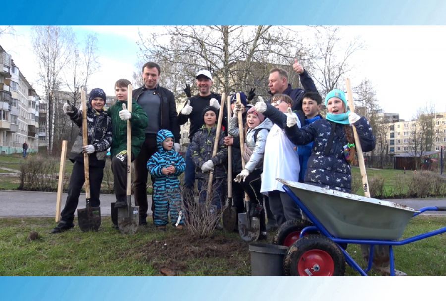 В новом сквере на Угличе станет больше зелени