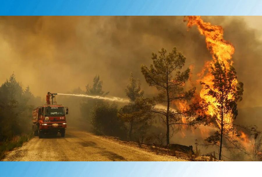 Власти Турции сообщают о взятии под контроль большинства очагов лесных пожаров