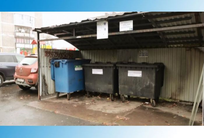 Занятия по раздельному сбору мусора планируют проводить в детсадах и вузах