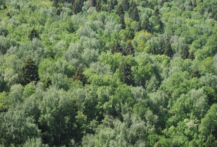 В &quot;Журавлином крае&quot; обнаружили новые места обитания краснокнижных животных и растений