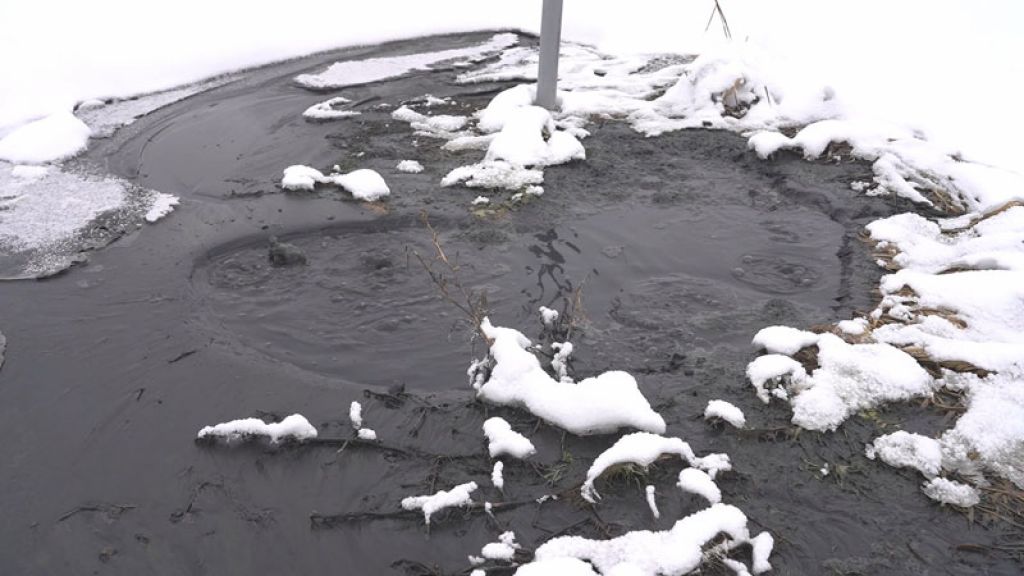 &laquo;День города&raquo; за 20 января 2026 г.