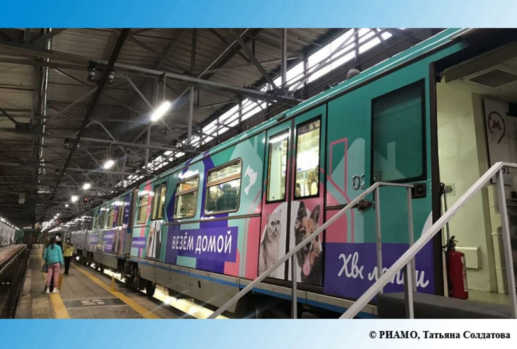 В метро запустили поезд, в котором пассажиры смогут выбрать себе питомца из приюта