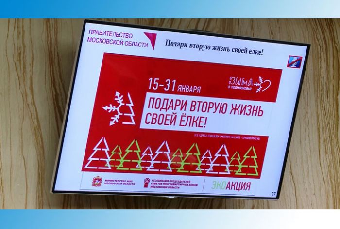 В Подмосковье стартует экоакция «Подари своей елке вторую жизнь»