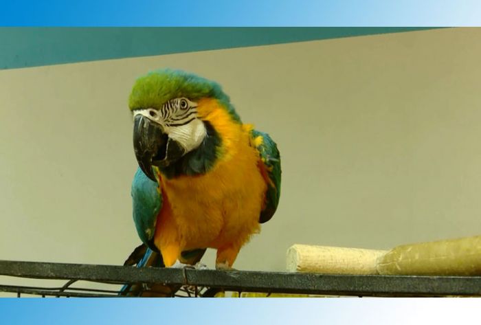 Приходите в контактный зоопарк