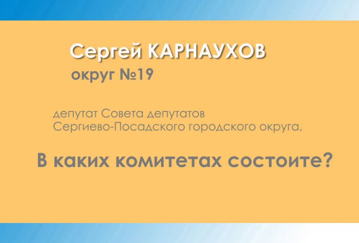 Сергей Карнаухов &ndash; о работе в комитетах