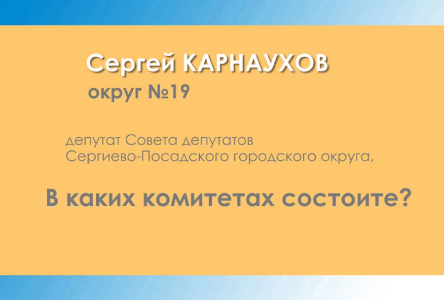 Сергей Карнаухов &ndash; о работе в комитетах