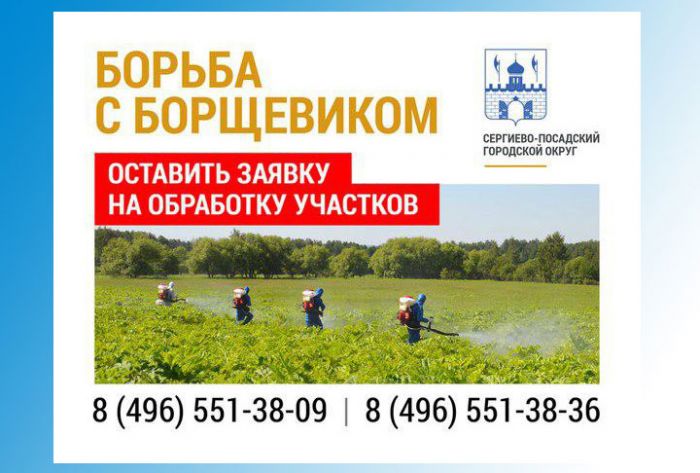 Продолжается борьба с борщевиком