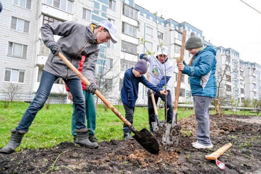 Благоустройство придомовой территории &ndash; красота своими руками