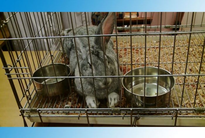 Студенты СПАК знакомили школьников со своими профессиями